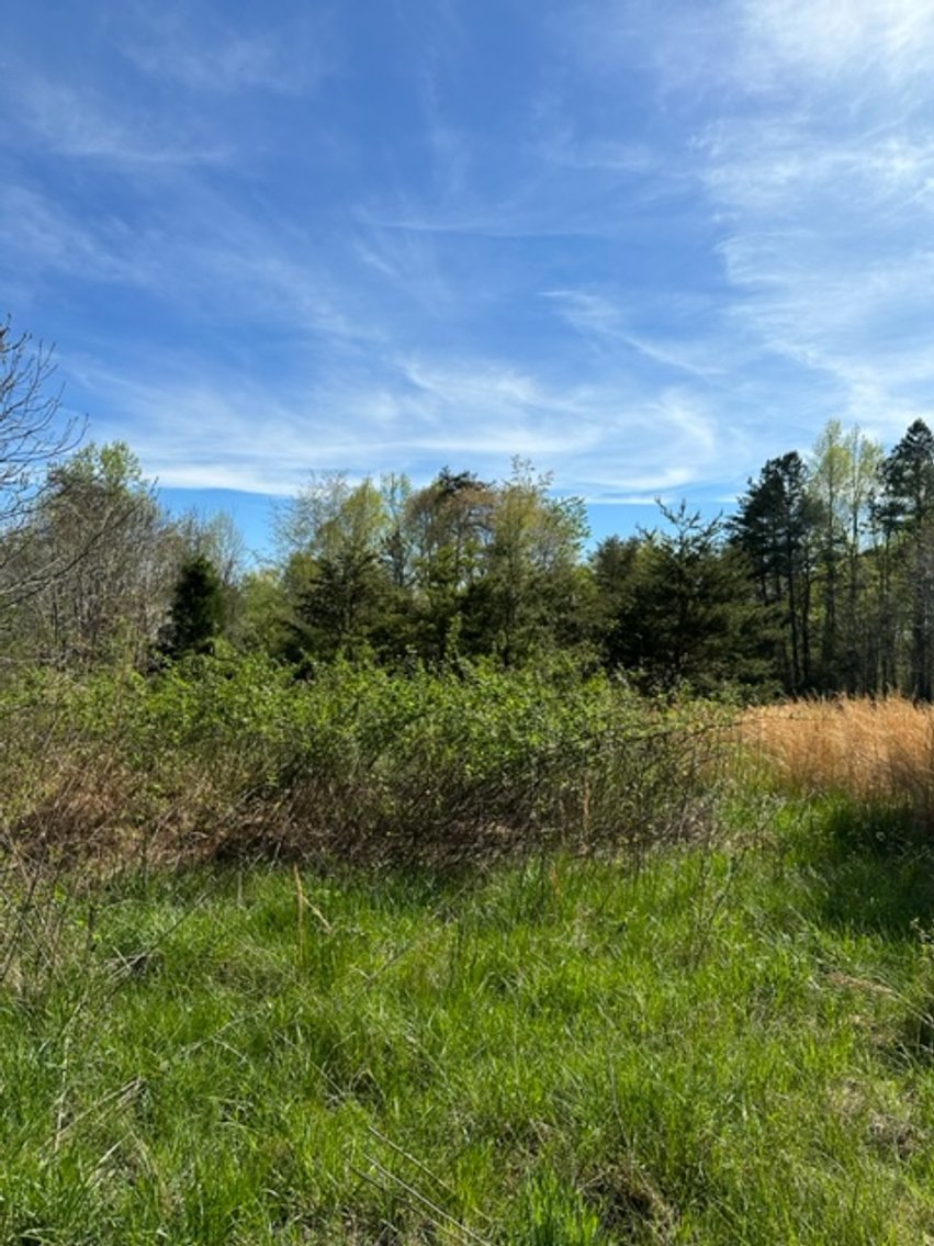 Image for 620 Park Rd., Mayodan, NC