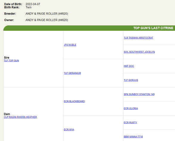 Image for 2023 AKGA - Breeders Showcase Sale