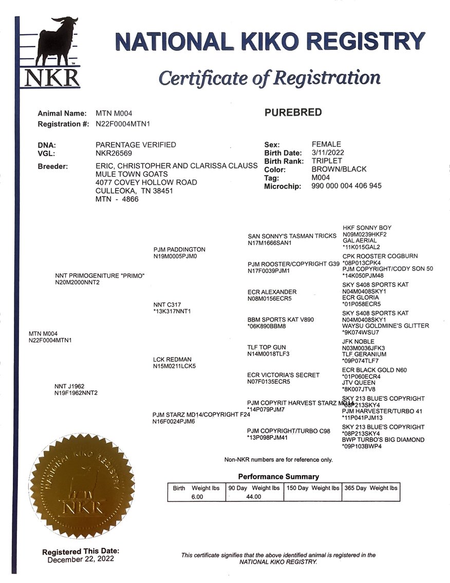 Image for 2023 Heritage Kiko Showcase Sale