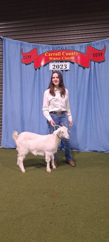 Image for 2023 Heritage Kiko Showcase Sale