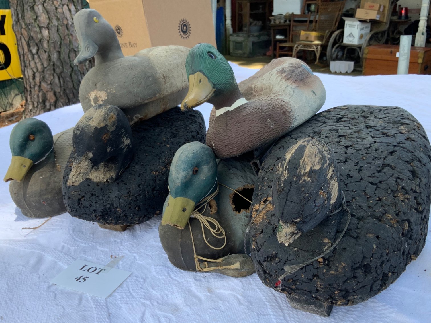Duck Decoys