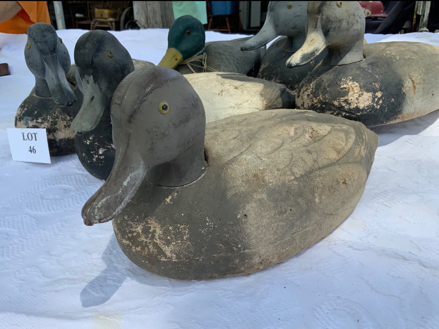 Duck Decoys