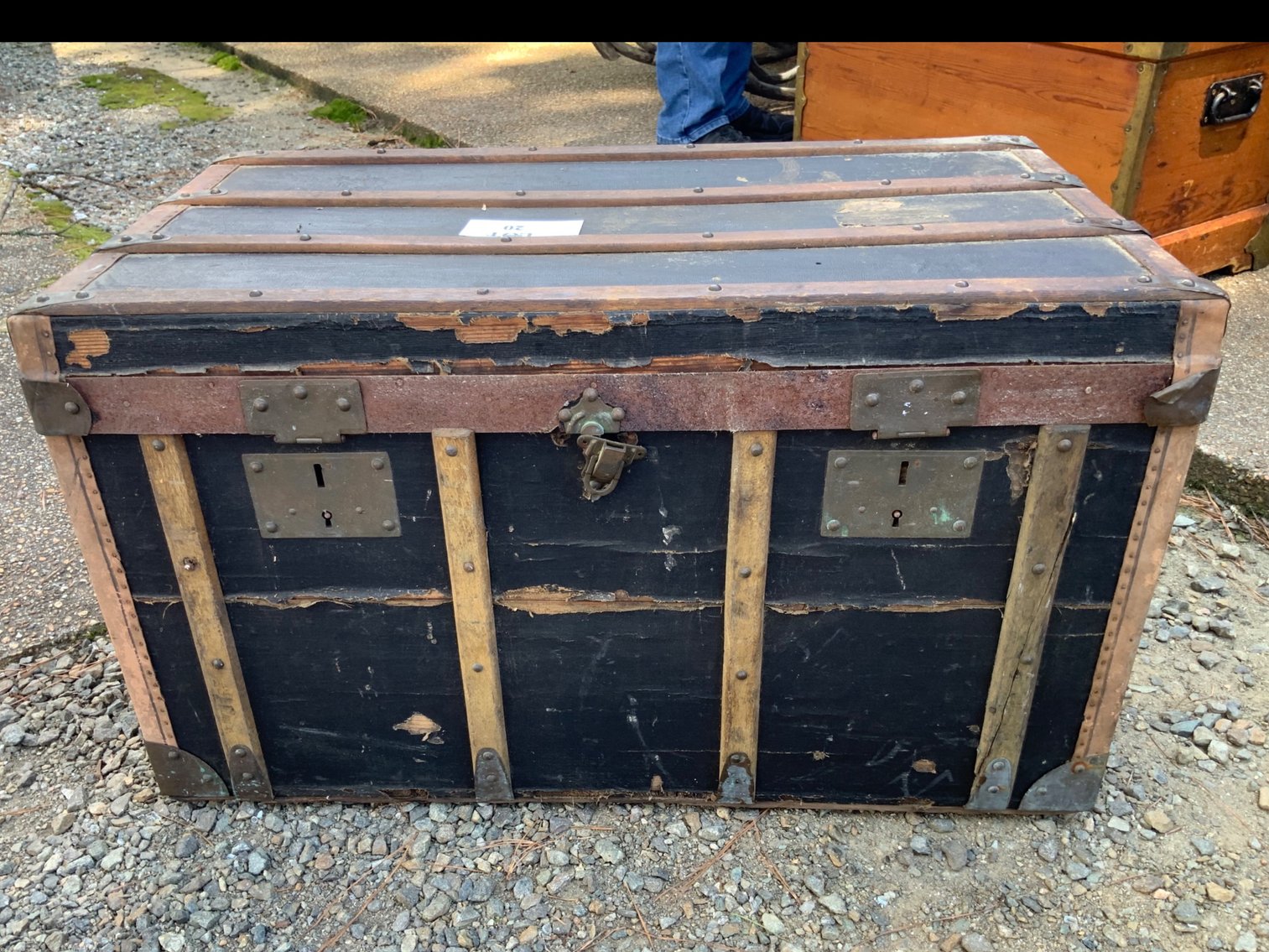 Wood Trunk