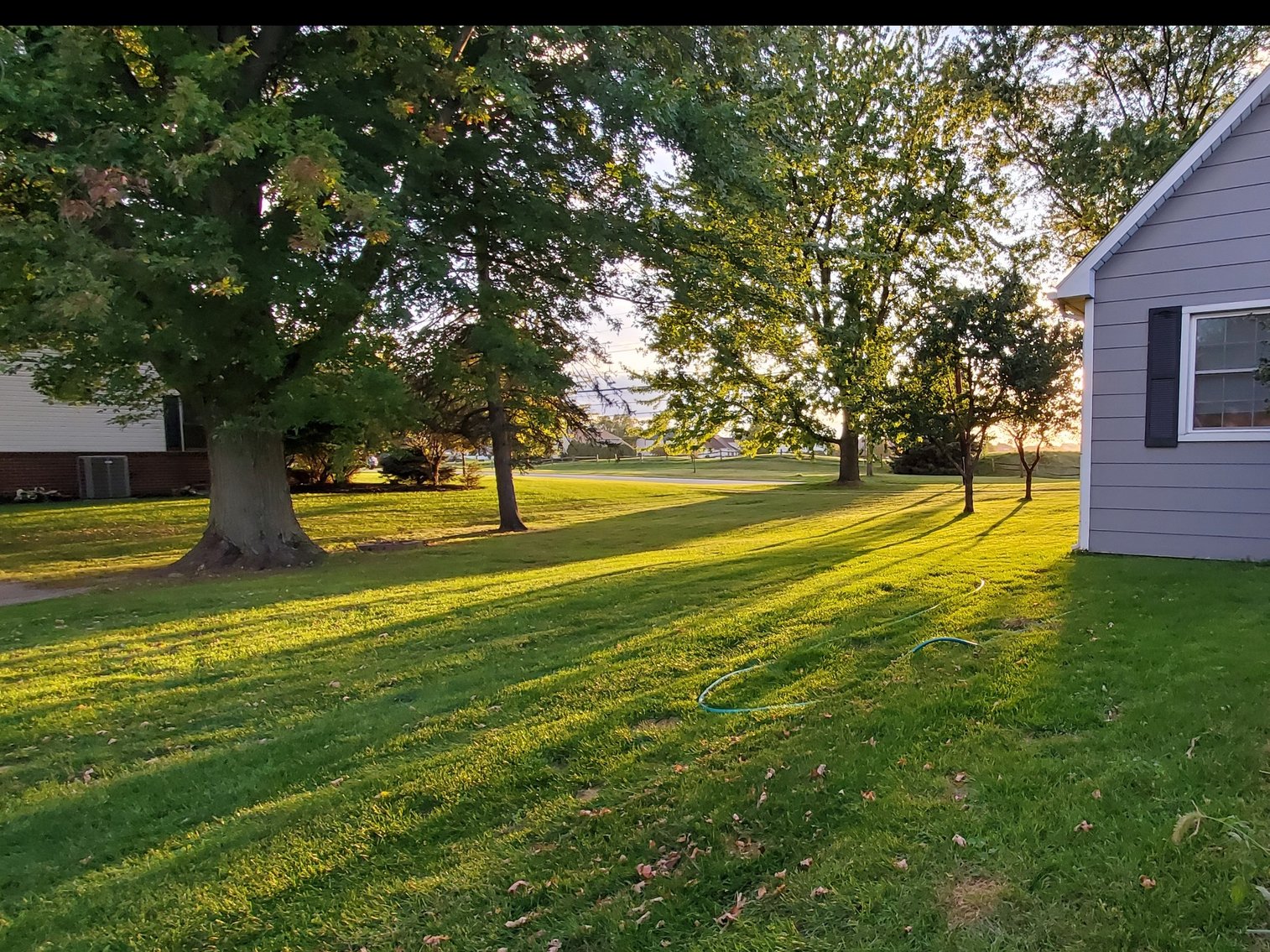 Image for 1239 Pearl Street, Bowling Green, OH  43402