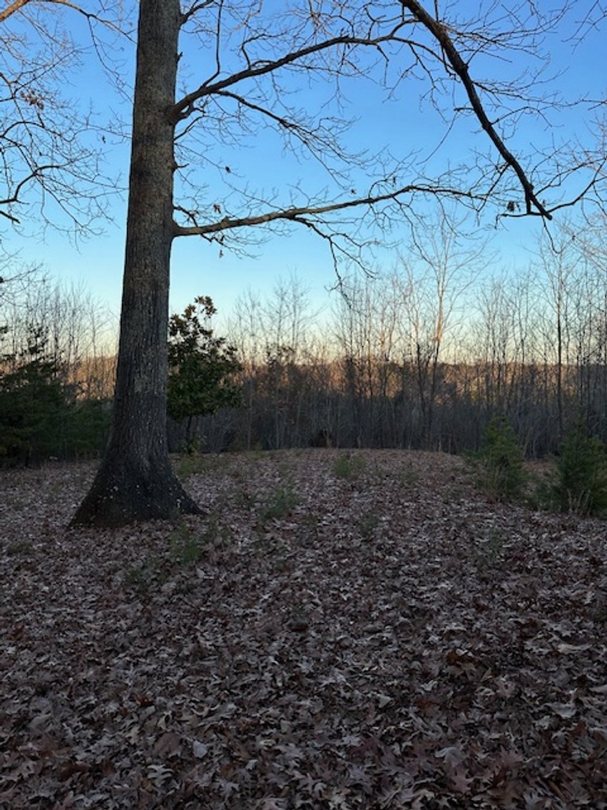 Image for 725 CN Smith Mill Rd., Stoneville, NC