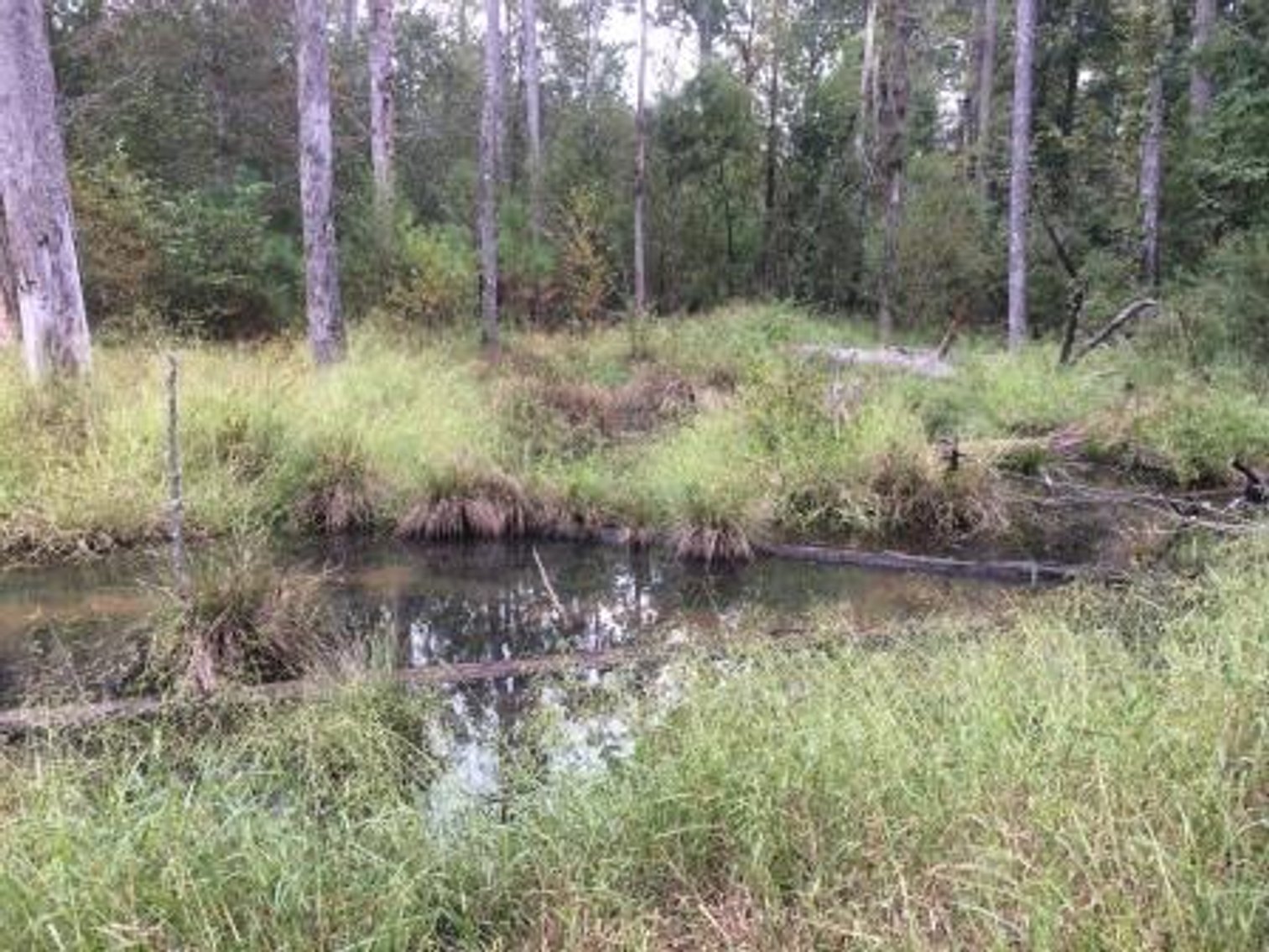 Image for Online Only Lender Liquidation Auction of 1,440± SF Home on 4.44± Acres in Mansfield, GA