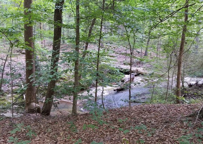 Image for 57+/- Acres just off Fairview Rd. in Fountain Inn, SC