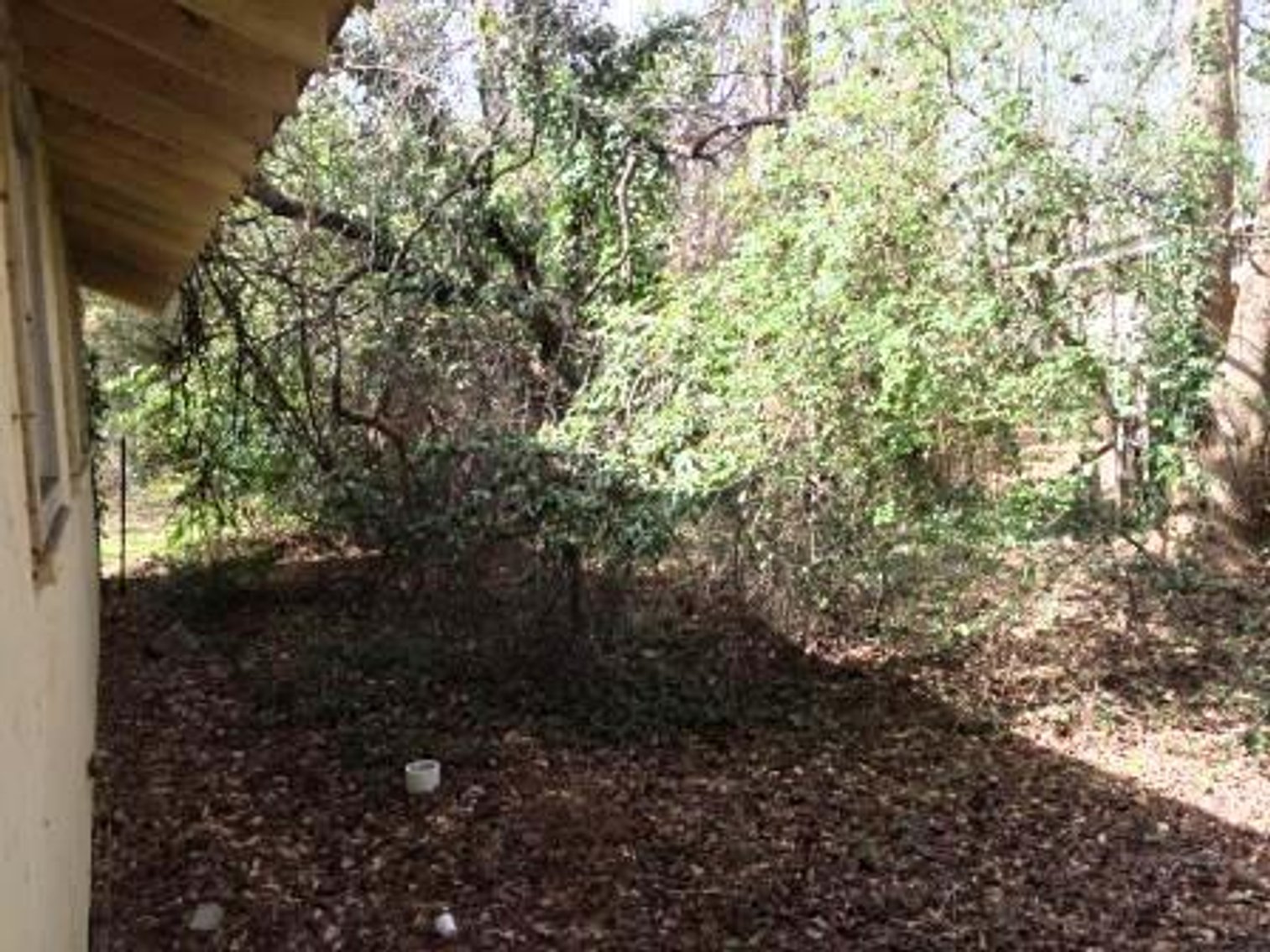 Image for #205: 805±SF Home with 2BR/1BA in Macon, GA (Bibb Co.)