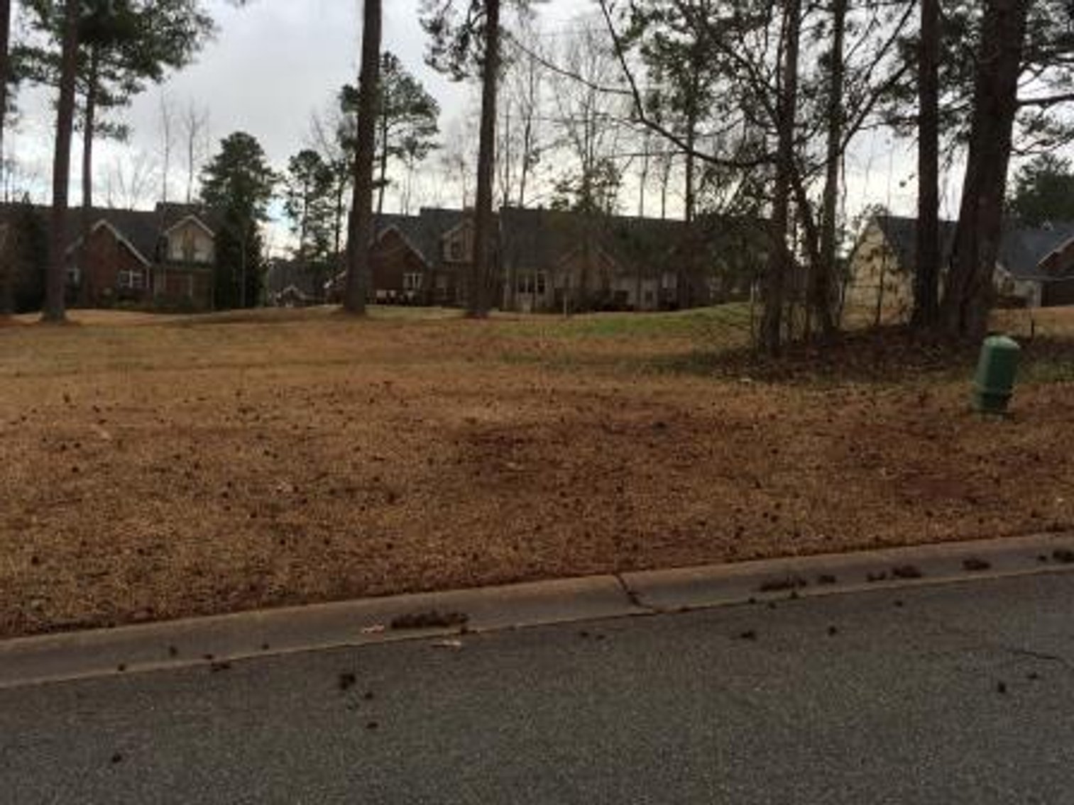 Image for 155 Hampton Way in Hampton Glen at Barrington Hall Subdivision (Bibb Co.)