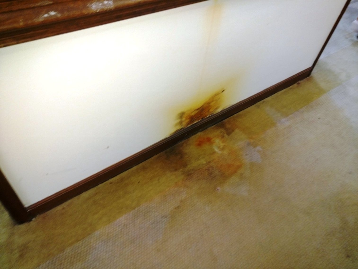 Image for 26,000±SF Office Bldg & 2 Outparcels on 3.8± Acres in Burlington, NC (Alamance County)