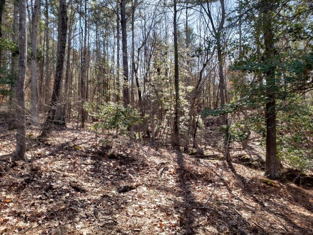 Image for Absolute Auction of .68± Acre Waterfront Lot on Cedar Creek Lake & 1.39± Acre Lot in Debutary Pointe Subdivision in Great Falls, SC (Fairfield Co.)