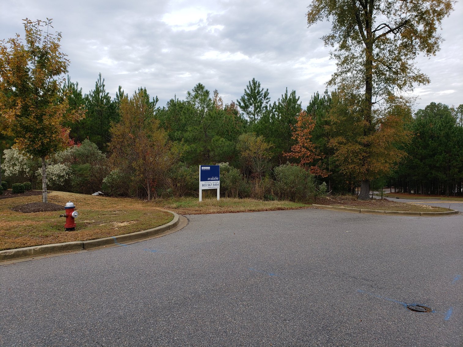 Image for Irmo, SC: 5 Development Parcels on 3.06+ Acres at 7448 Broad River Rd., Irmo, SC 29063 (Richland County)