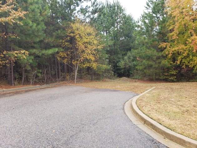 Image for Bank Ordered Absolute Auction of Home & Development Parcels in Carlisle & Irmo, SC