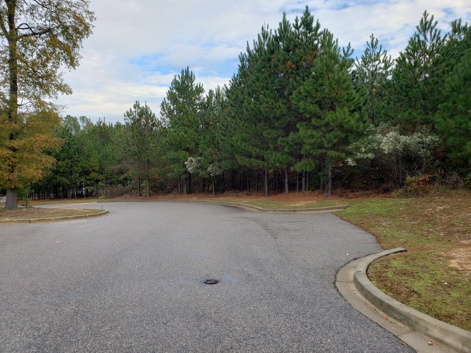 Image for Irmo, SC: 5 Development Parcels on 3.06+ Acres at 7448 Broad River Rd., Irmo, SC 29063 (Richland County)