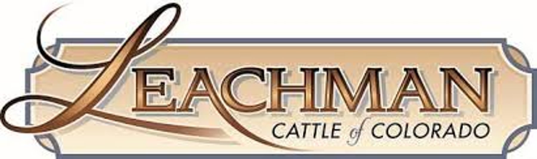 Image for Leachman East Coast Stabilizer Sale