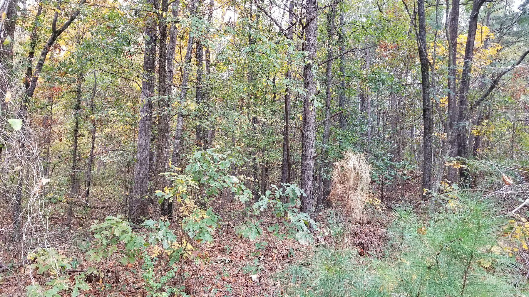 Image for Property #301: Stockbridge, GA: 3.2± Acre Commercial Lot at Davidson Parkway, Stockbridge, GA 30281 (Clayton County)