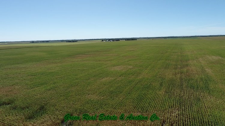Image for Sac County, Iowa Land Auction