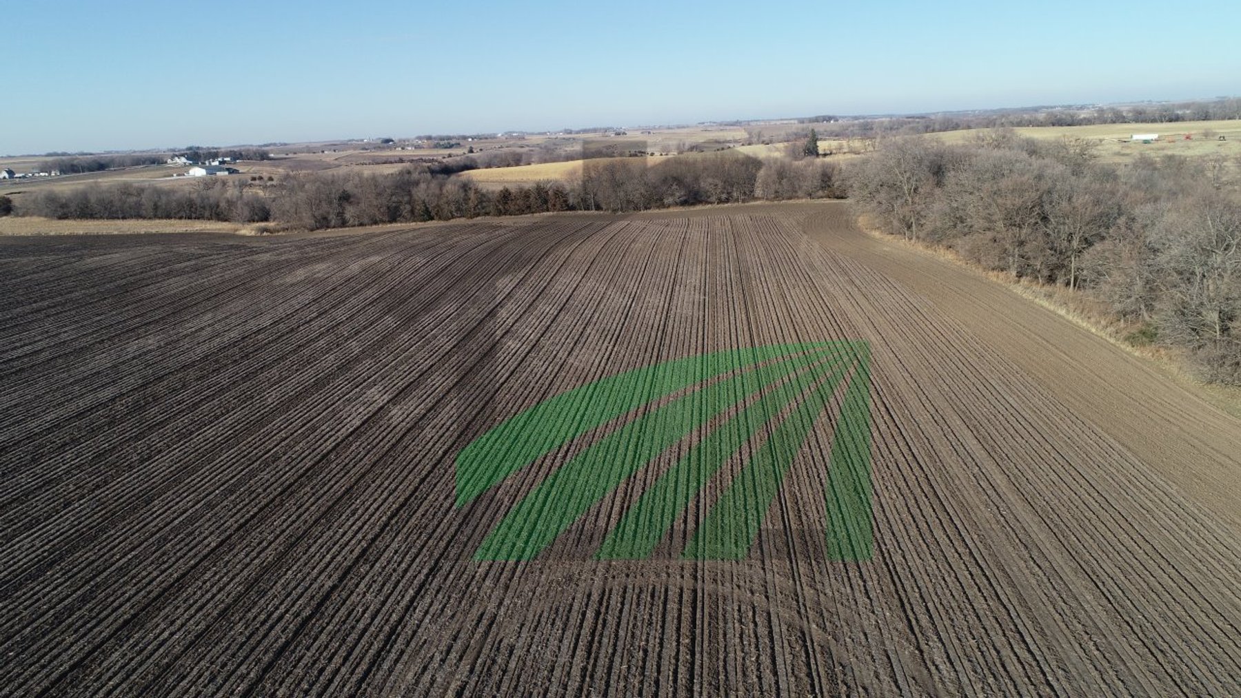Image for Sac County, Iowa Farmland Auction
