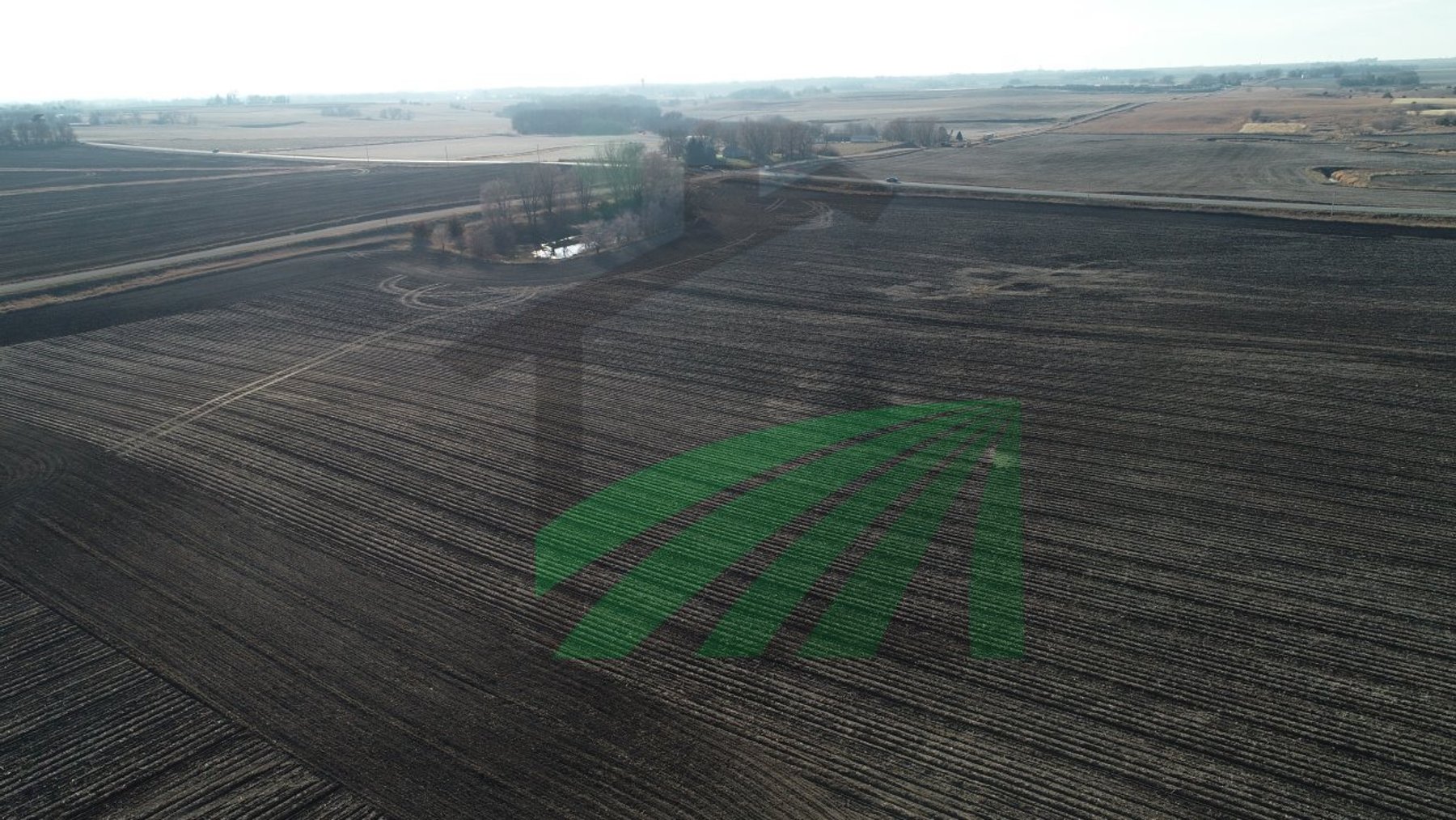 Image for Sac County, Iowa Farmland Auction