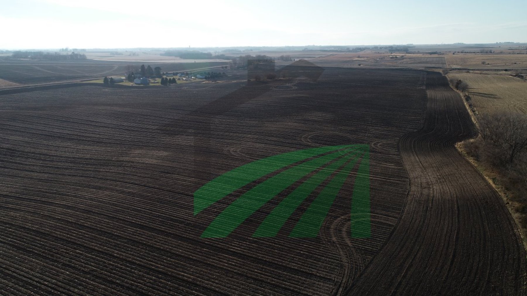 Image for Sac County, Iowa Farmland Auction