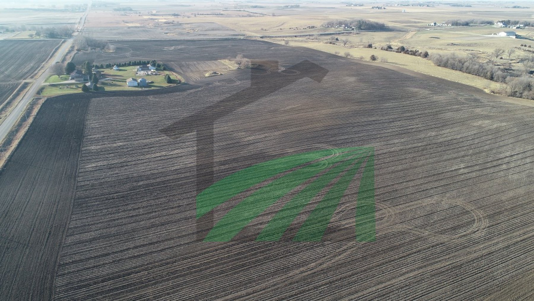 Image for Sac County, Iowa Farmland Auction