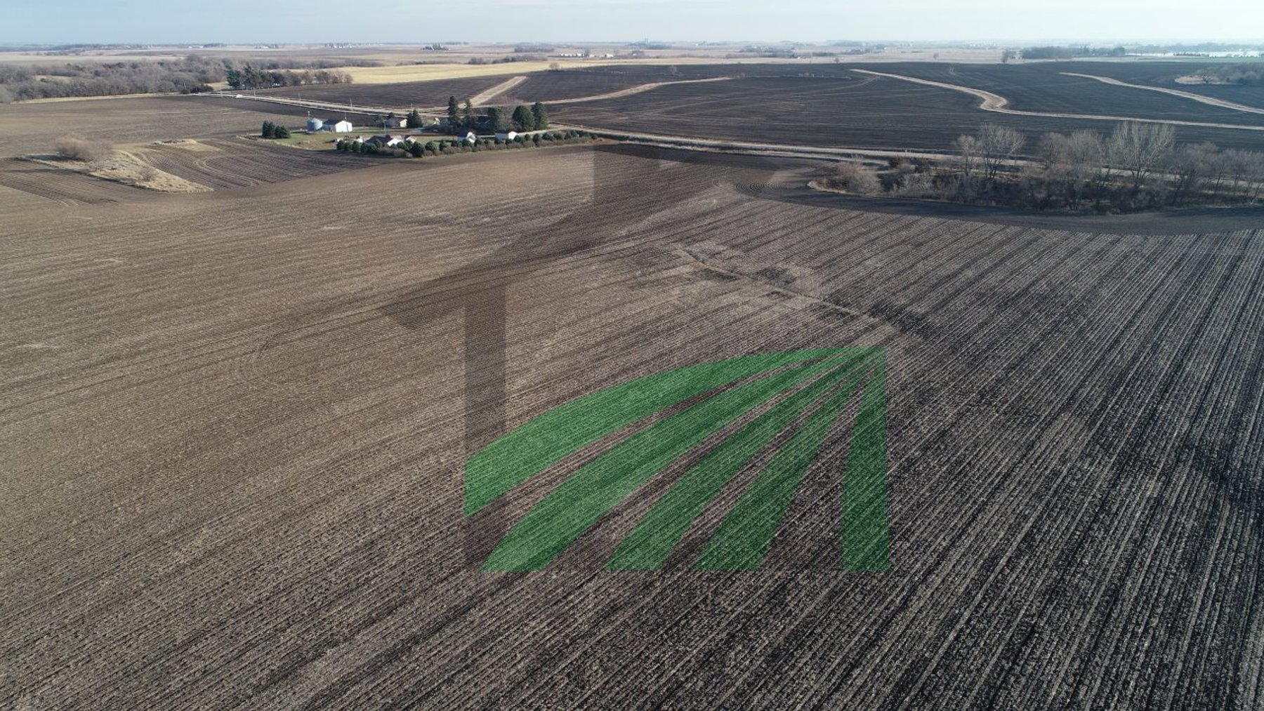 Image for Sac County, Iowa Farmland Auction