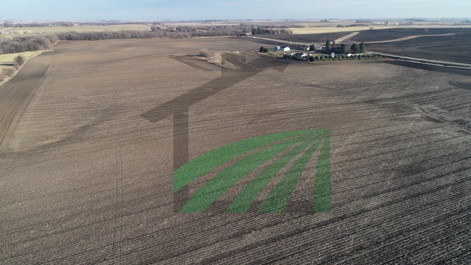 Image for Sac County, Iowa Farmland Auction