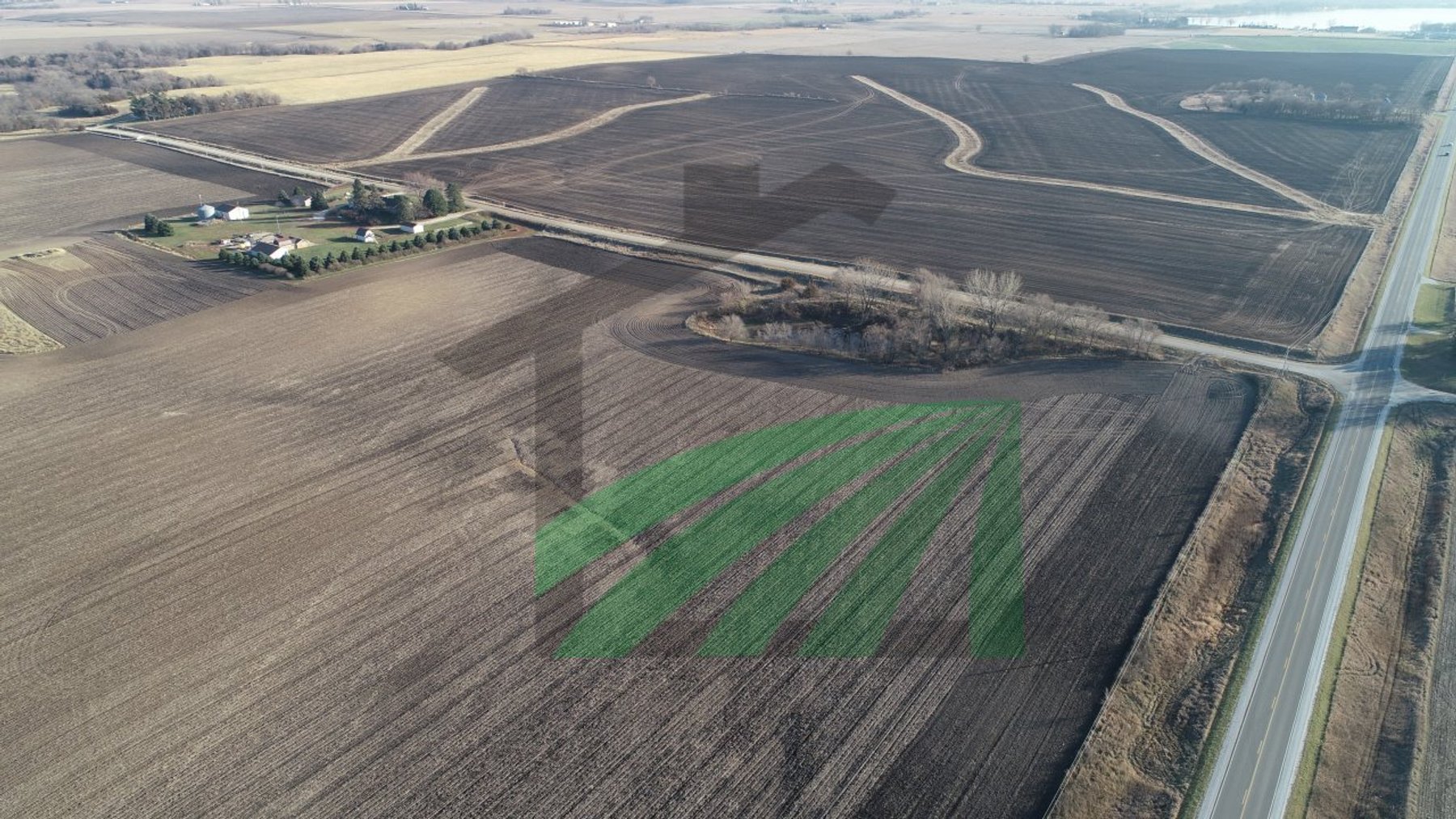 Image for Sac County, Iowa Farmland Auction
