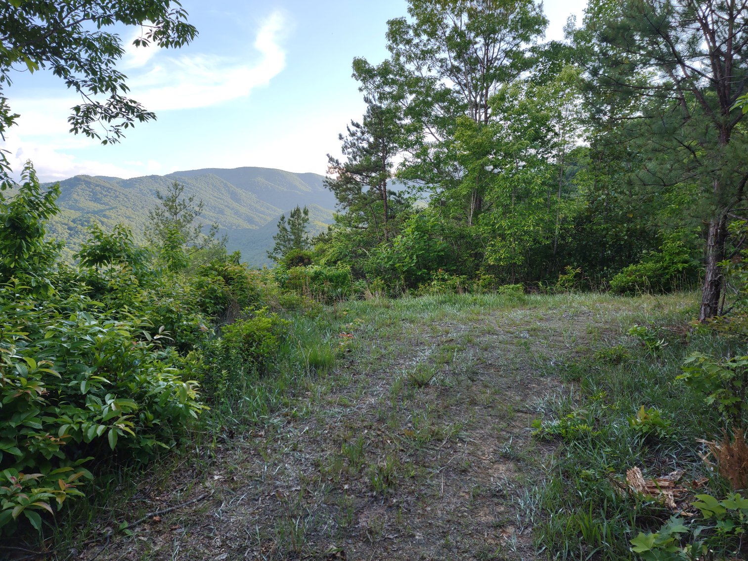 Image for Otto, NC: 10.5± Mountaintop Acres in Heritage Mountain Estates, Otto, NC 28763 (Macon County)
