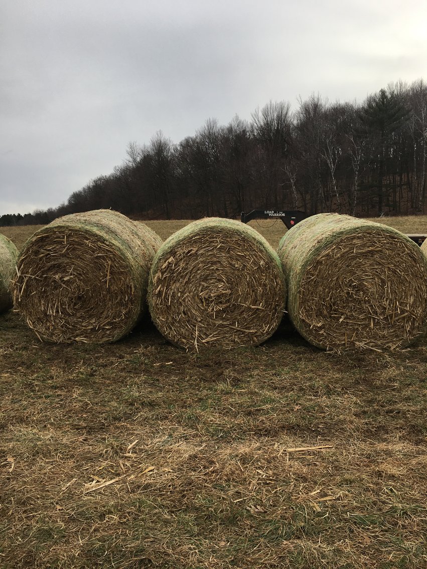 Image for JANUARY HAY AND FIREWOOD AUCTION