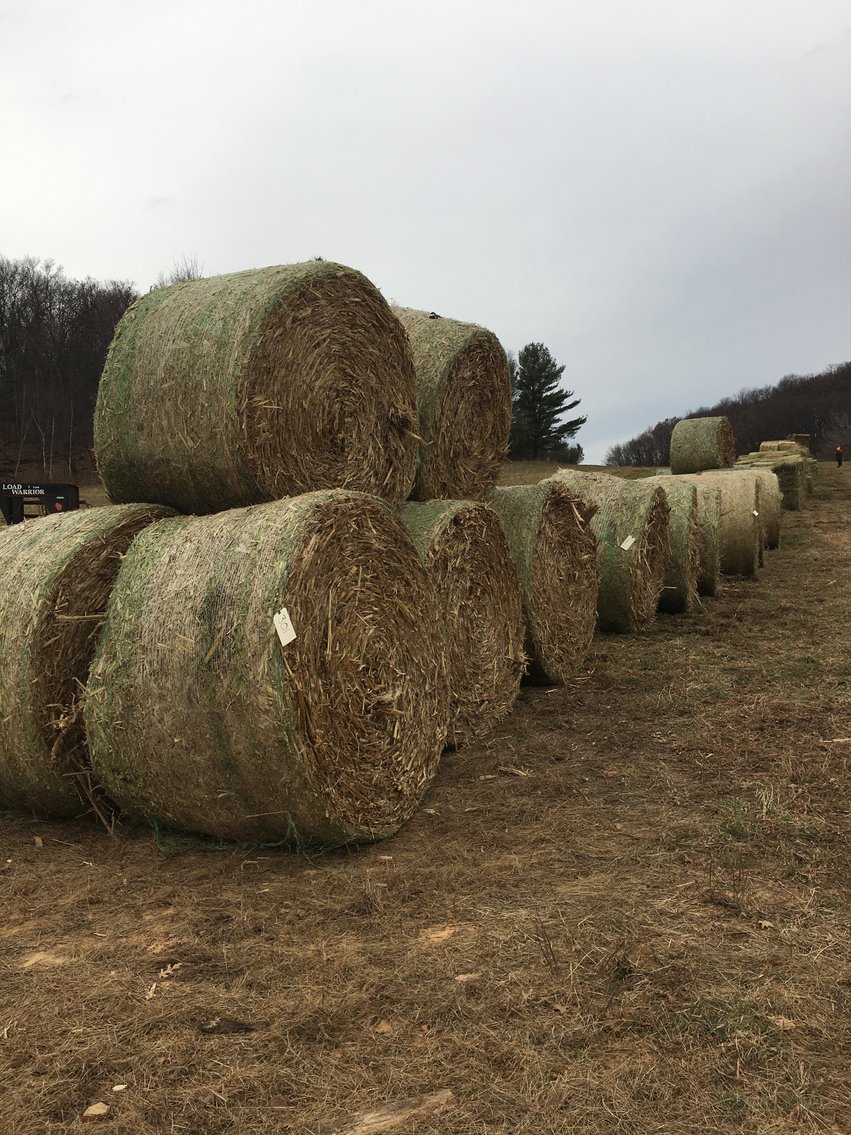 Image for LATE FEBRUARY HAY AND FIREWOOD AUCTION