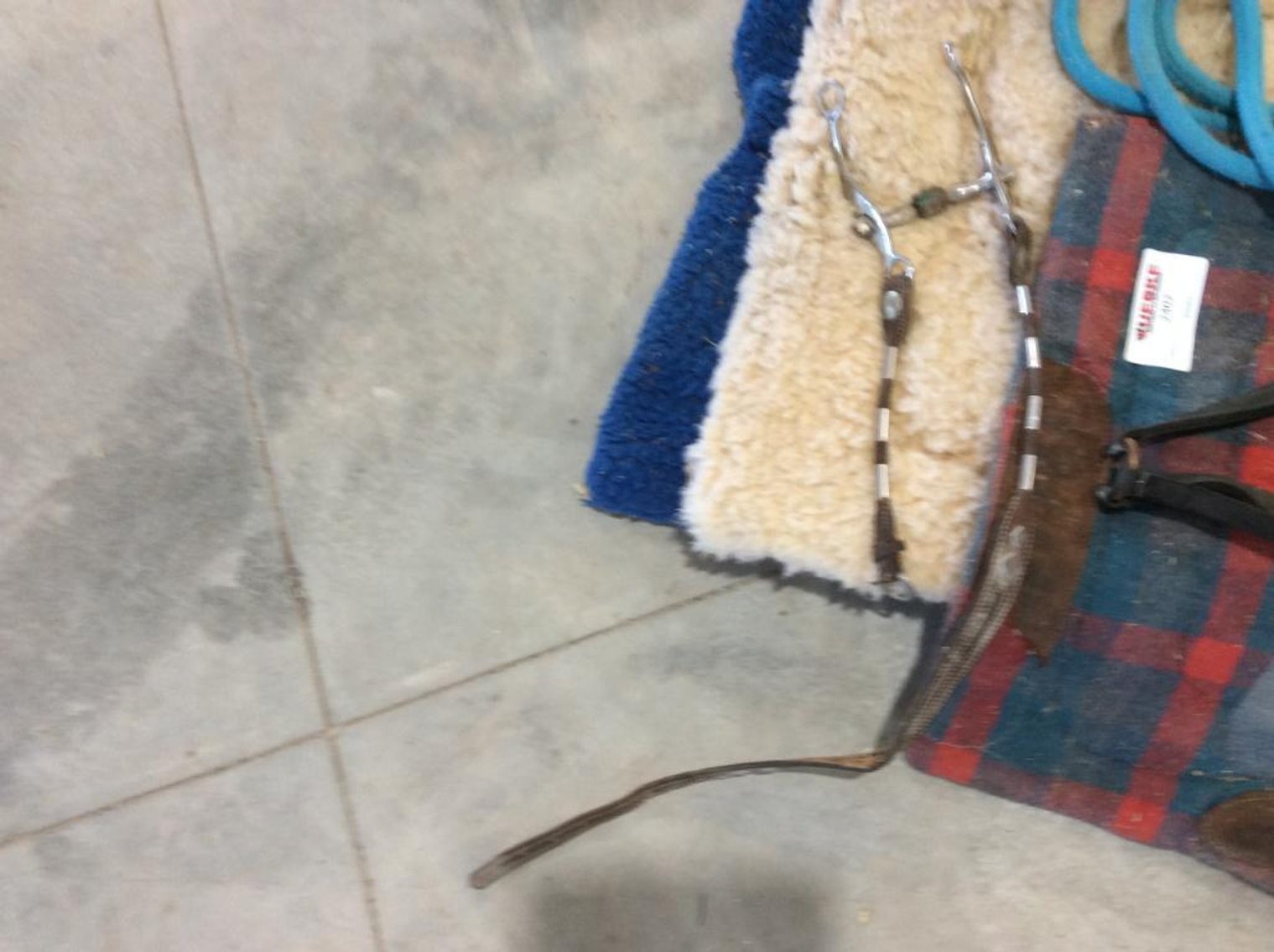 Horse Blankets