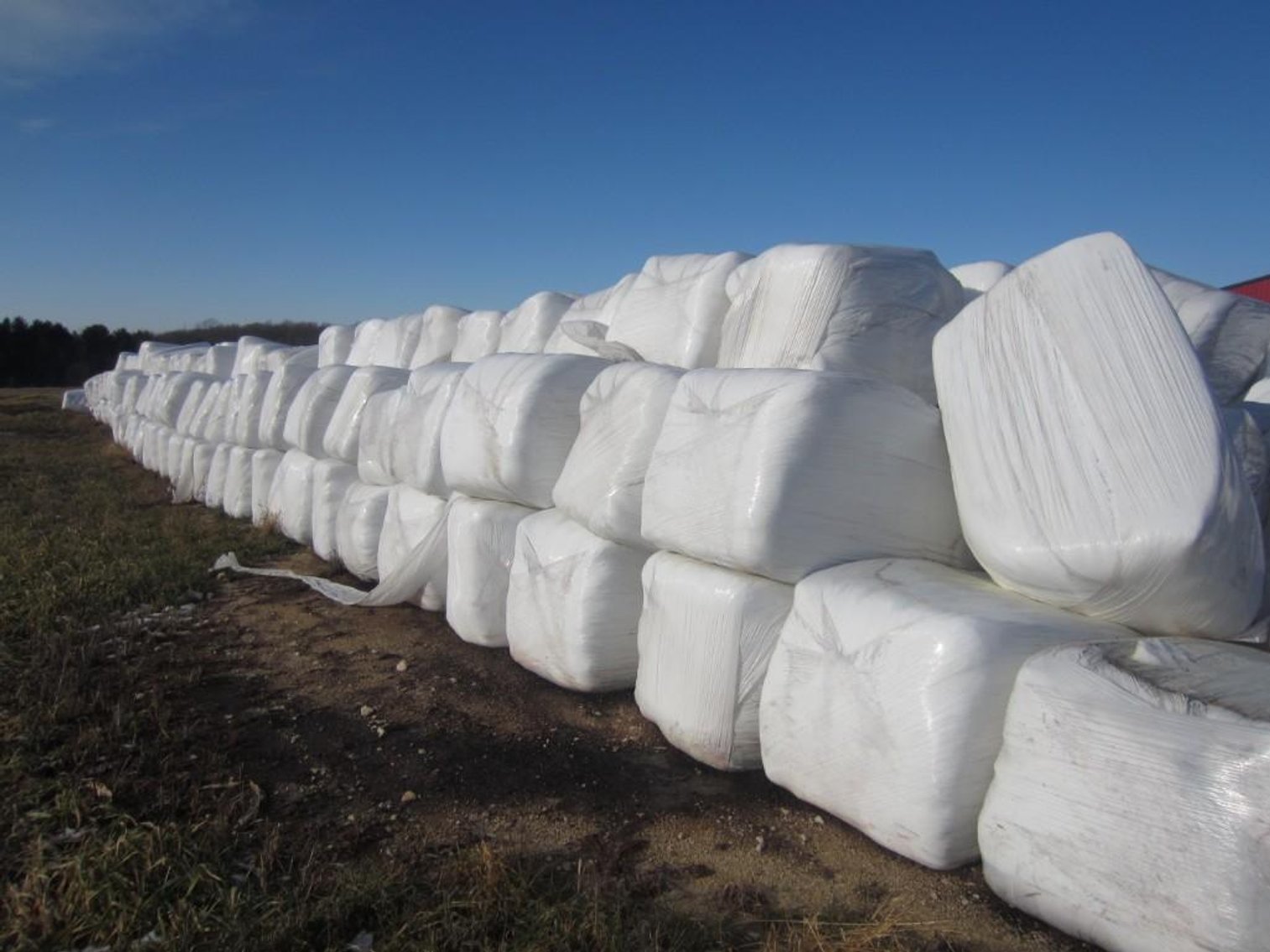 Approx. 10 Ton of (18) Bales of First Crop Balage - Bid by the Ton