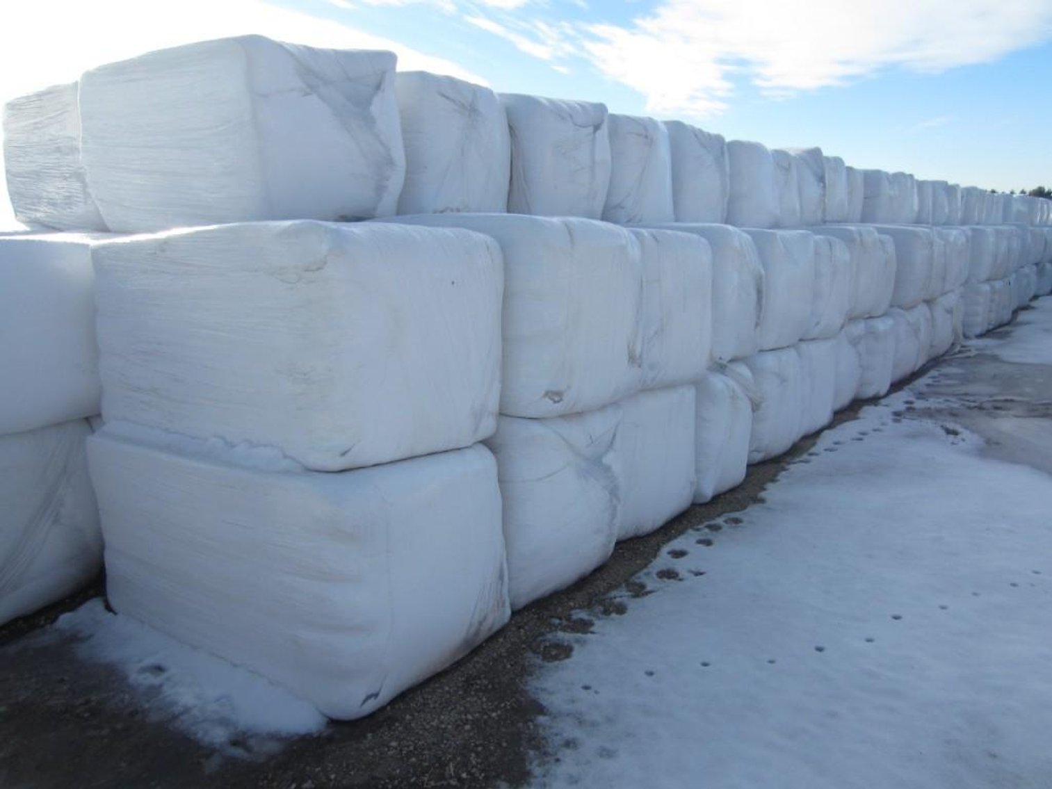 Approx. 10 Ton of (18) Bales of Third Crop Balage - Bid by the Ton