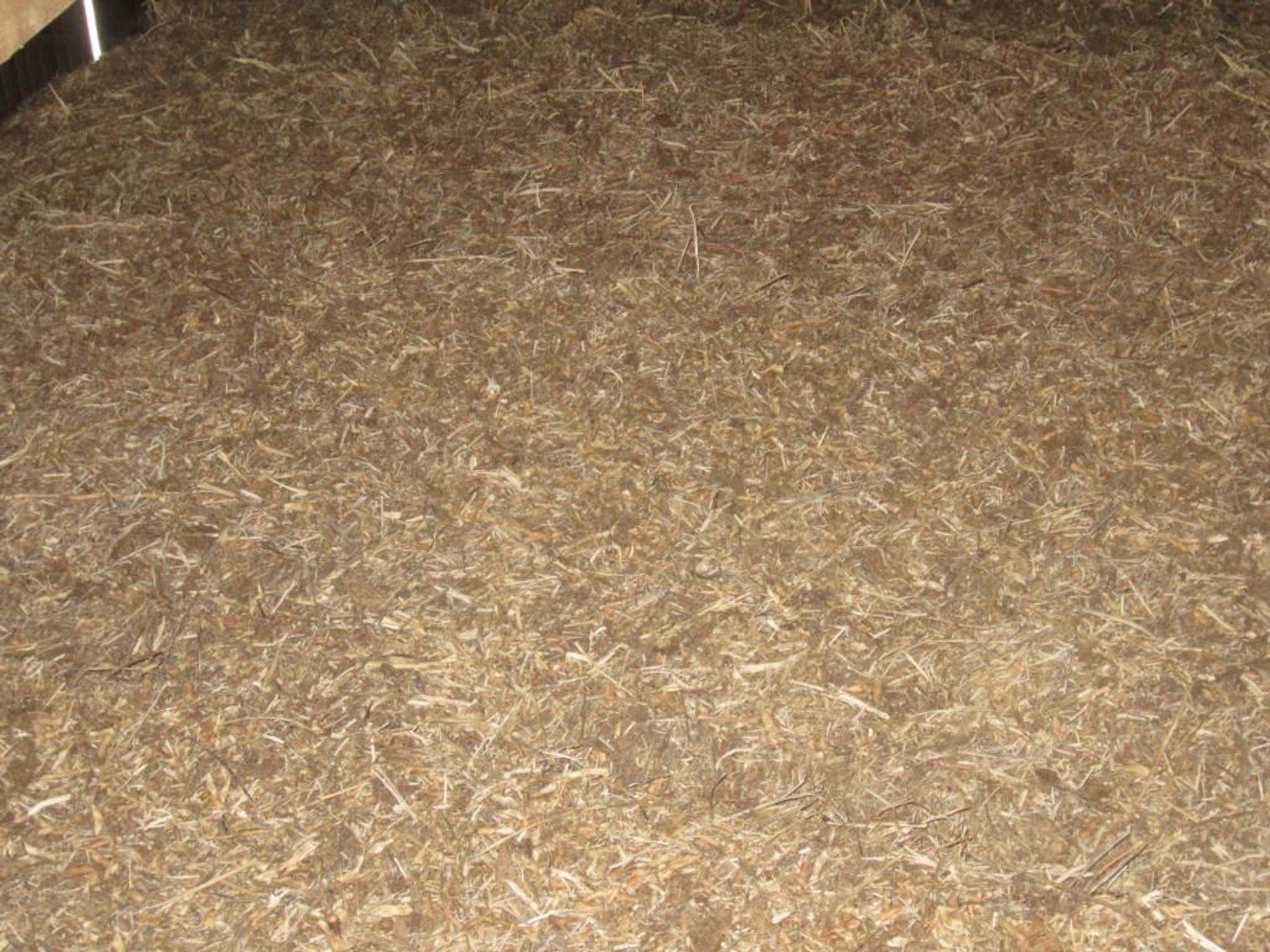 (10) Soybean Bales - BID IS PER LOT, NOT PER BALE