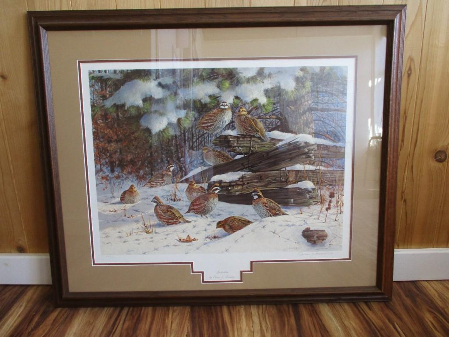 Bobwhites by Owen J Gromme