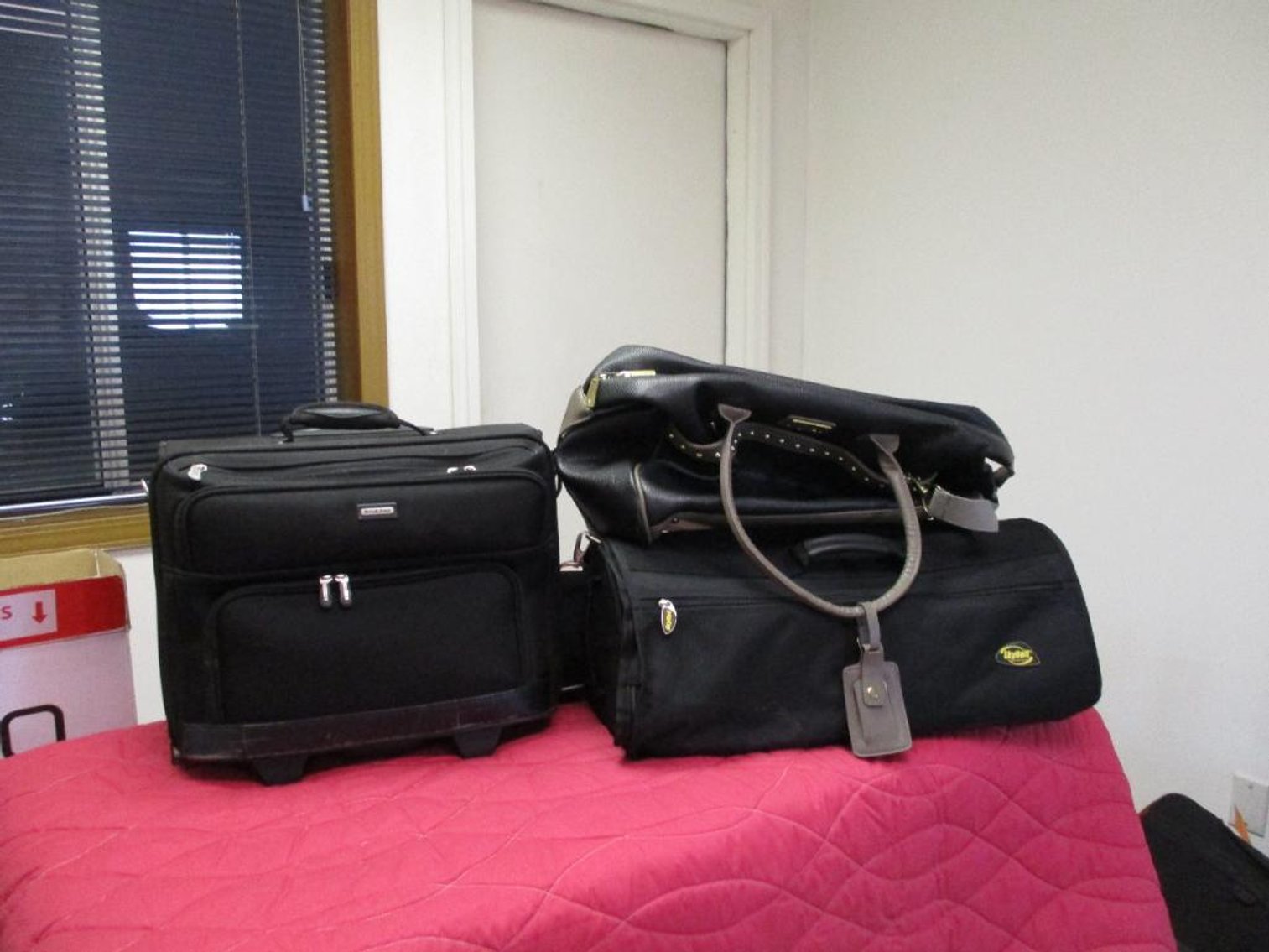 Brookstone/SkyRoll/Adrienne Vittadini Bags
