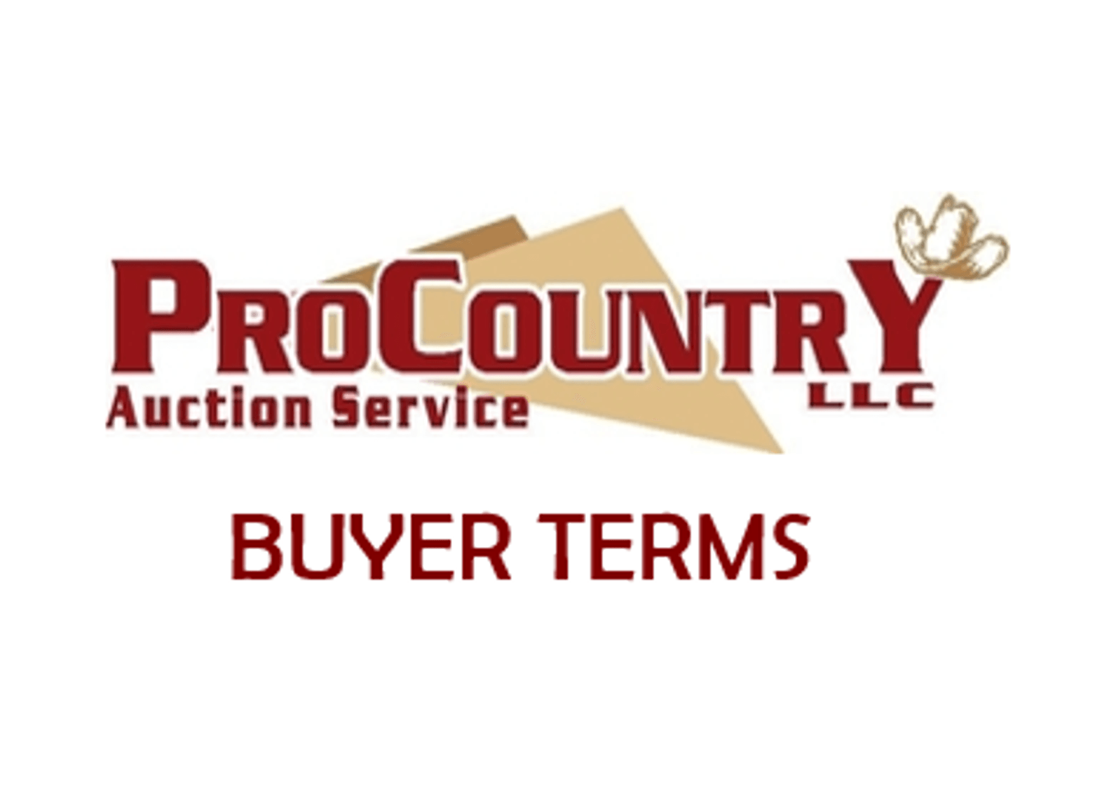 Buyer Terms