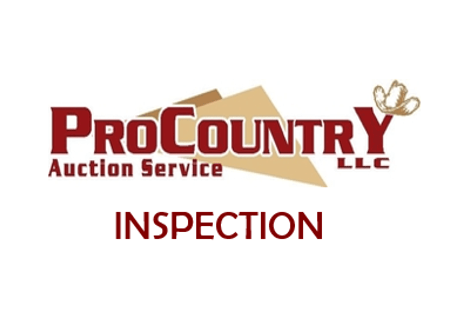 Inspection