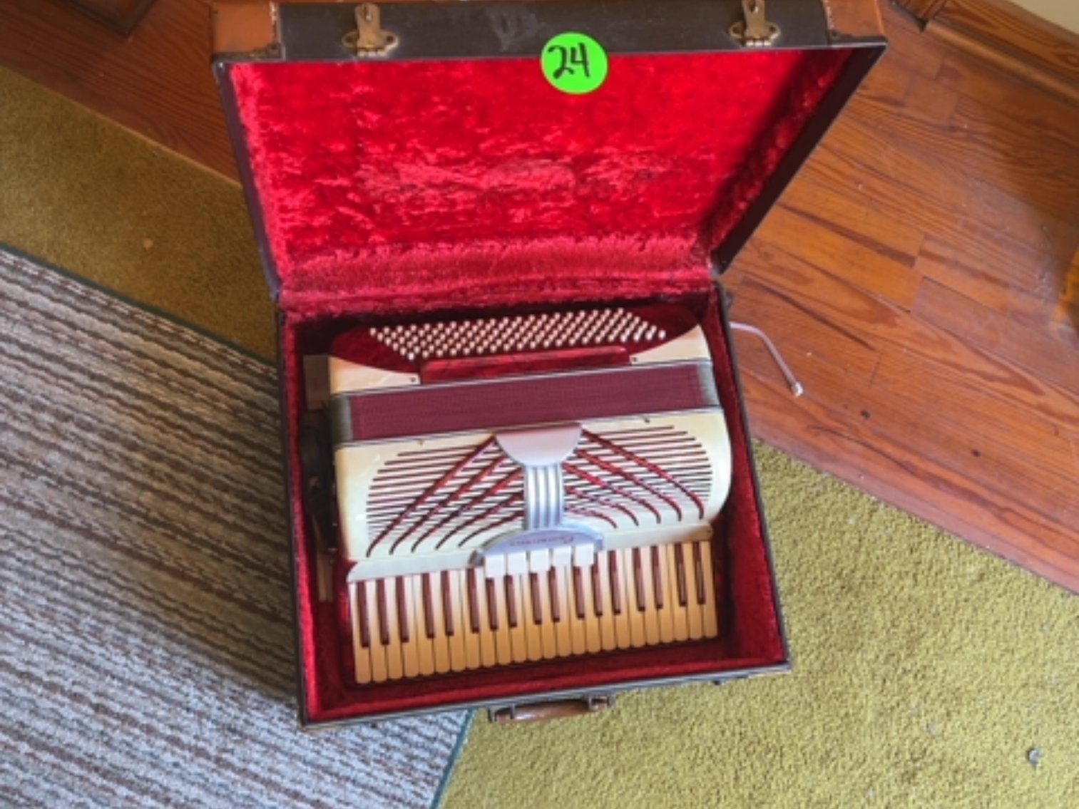 Camerano Accordian 