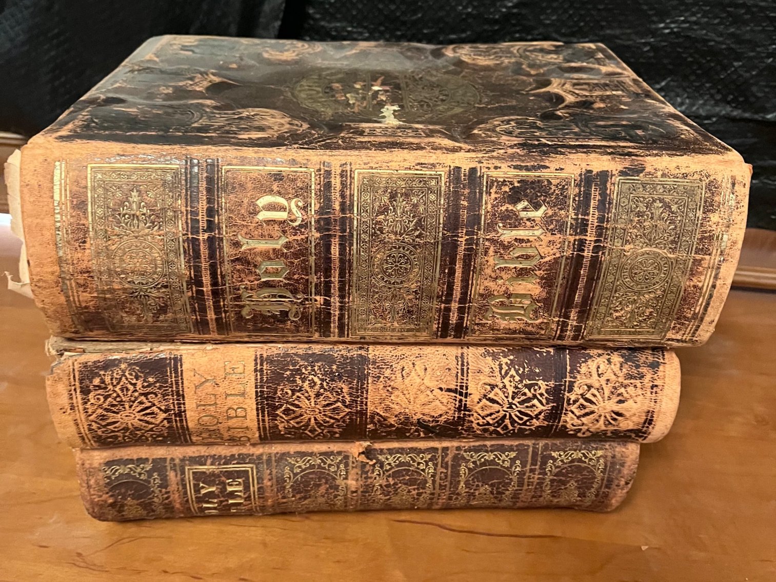 Bibles