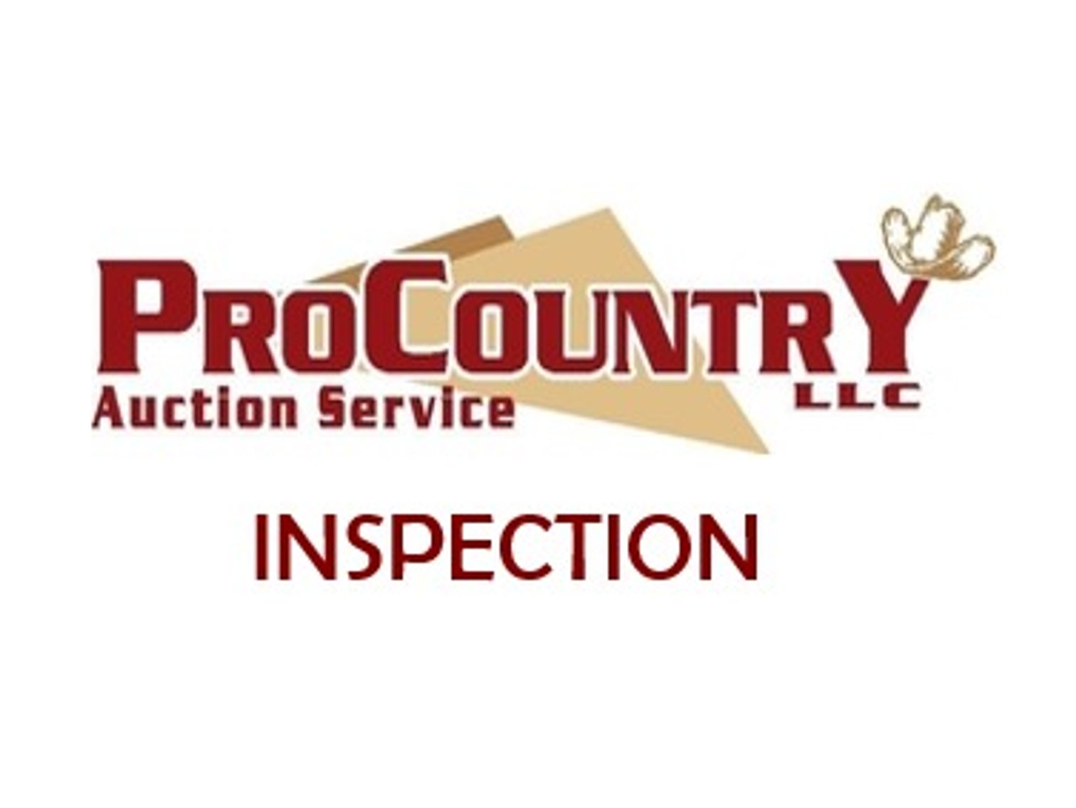 Inspection