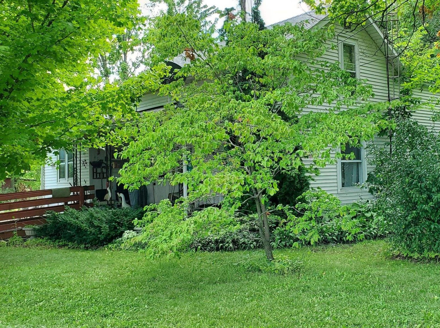 Image for 401 Walnut Street, Risingsun, OH  43457