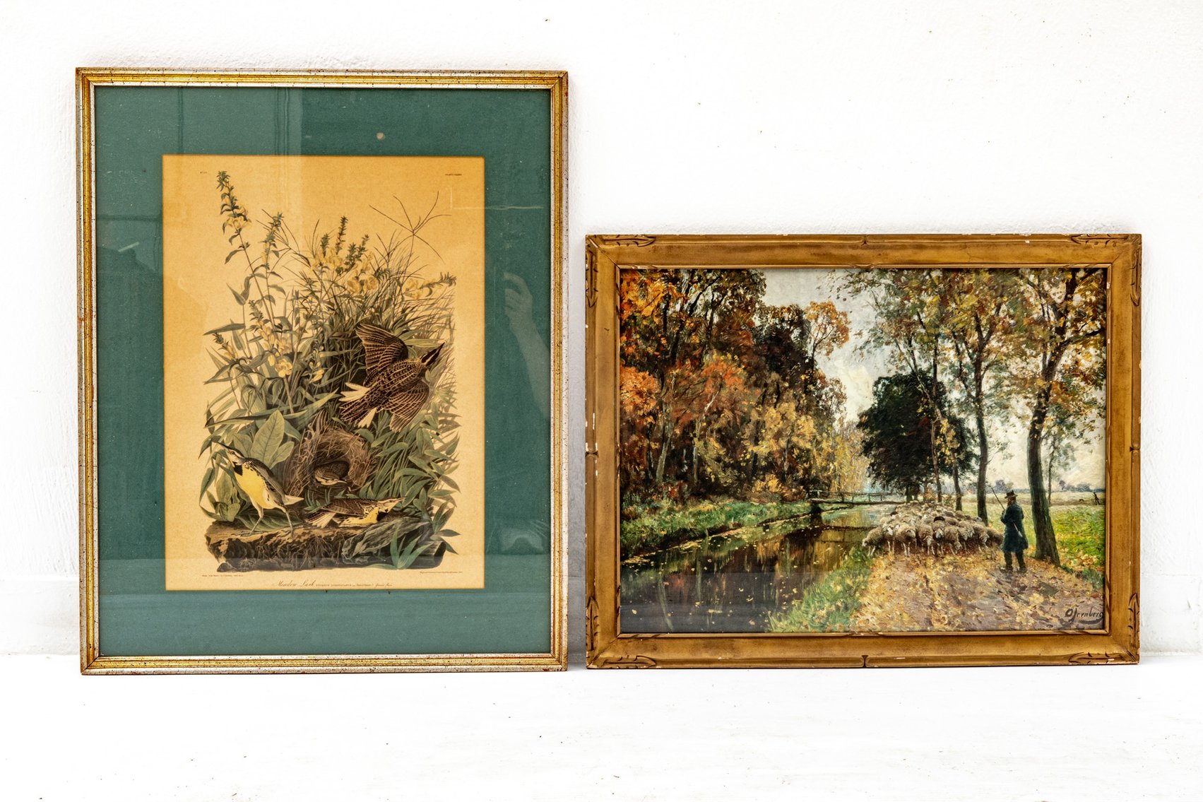 Framed Landscape & Bird Prints