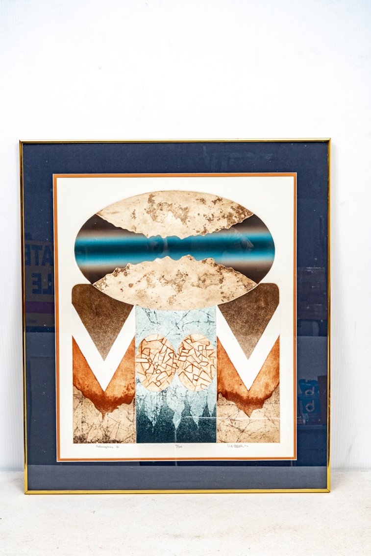 Framed W.E.Coombs S/N 'Metamorphosis II'
