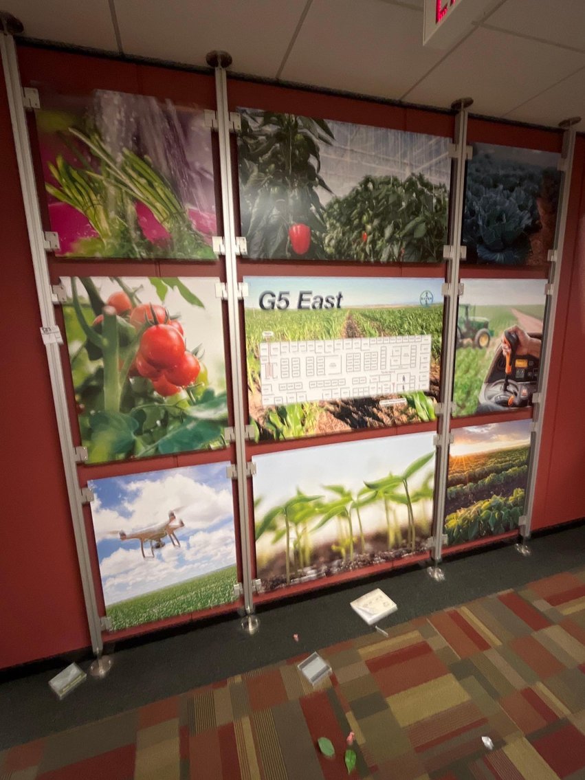 Image for Former Monsanto Office CleanOut