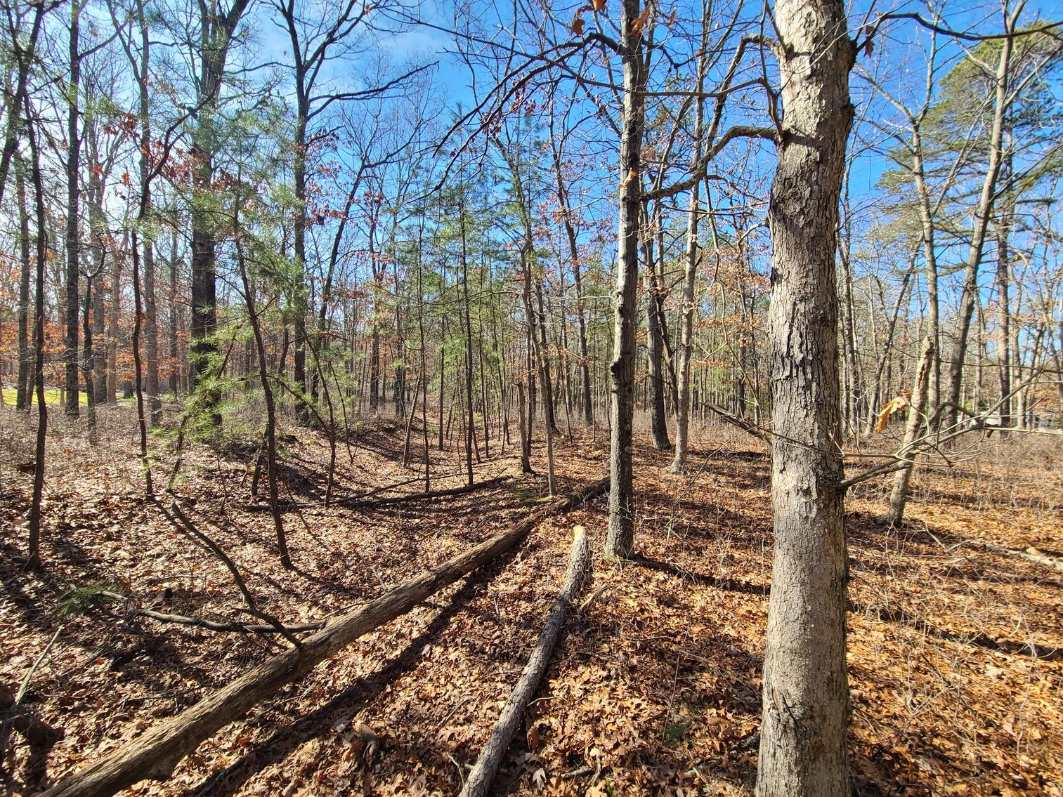 Image for 310 +/- Acres in Egg Harbor Township - Perfect Recreational Getaway