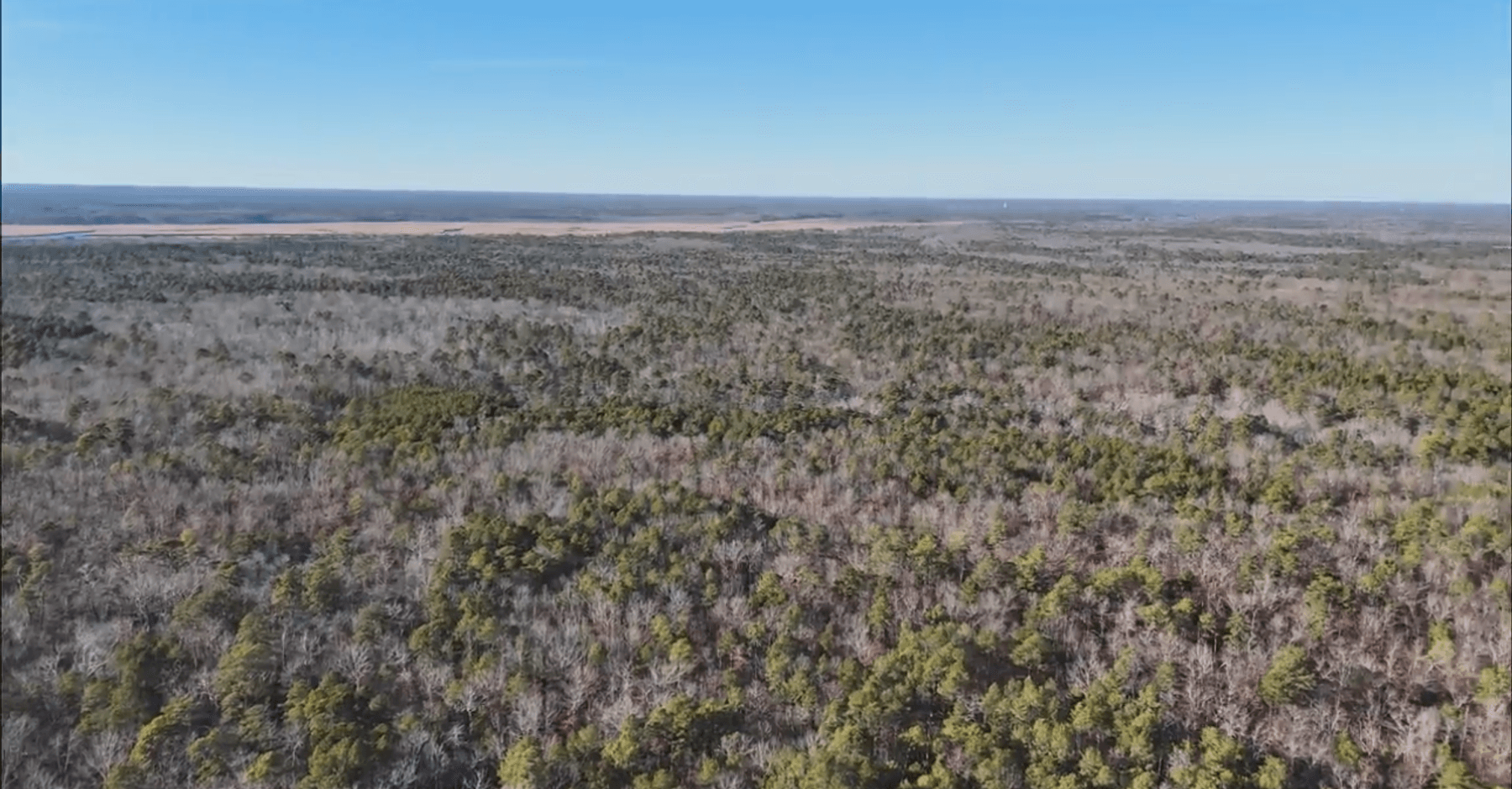 Image for 310 +/- Acres in Egg Harbor Township - Perfect Recreational Getaway