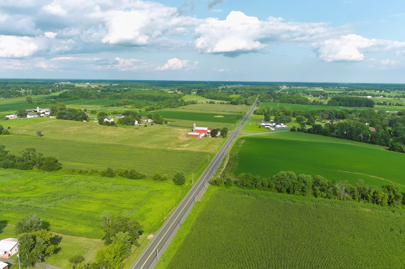 Image for 55.25 +/- Acres with 406 +/- Feet Road Frontage on Route 40 in Pilesgrove