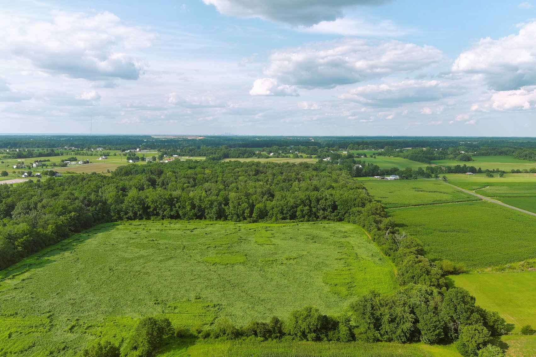 Image for 55.25 +/- Acres with 406 +/- Feet Road Frontage on Route 40 in Pilesgrove